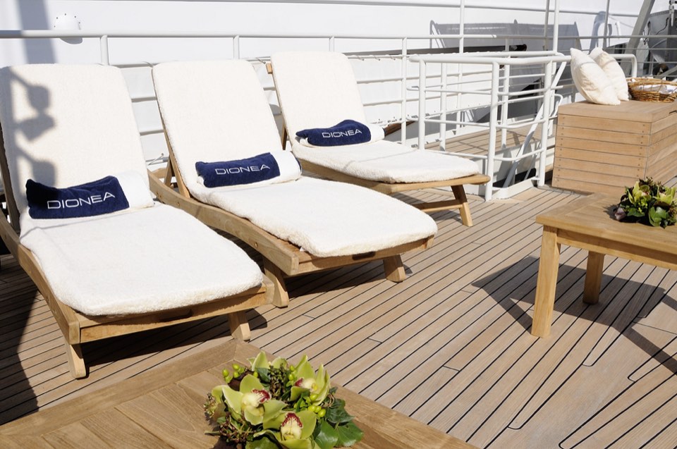 Dionea: sun deck